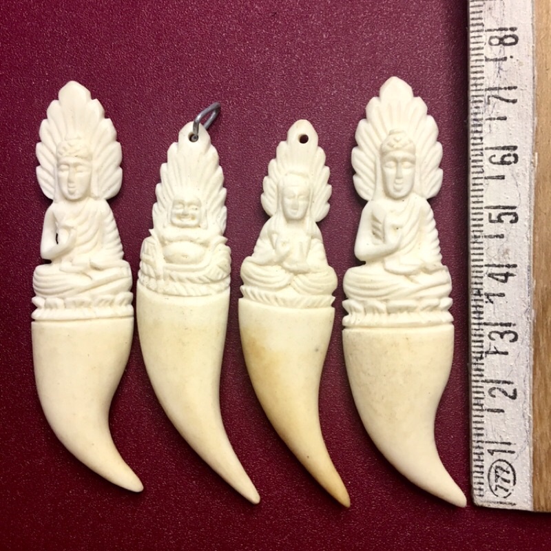 RĂNG NANH ĐIÊU KHẮC THỦ CÔNG MẶT DÂY CHUYỀN