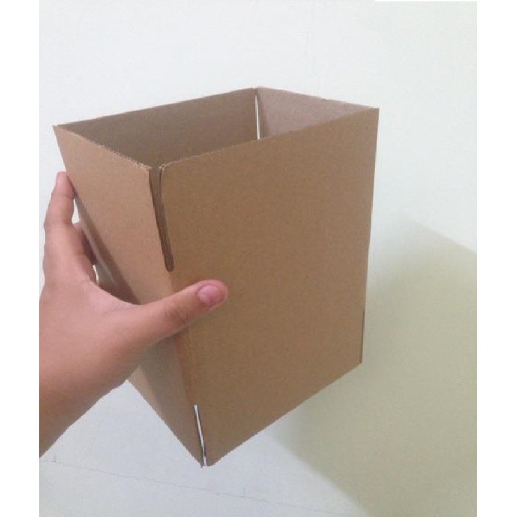 HL - 1 thùng hộp carton 10x6x6