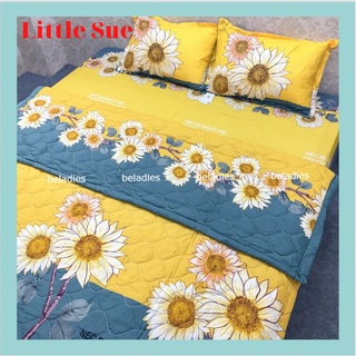Chăn hè thu trần bông 2 măt poly cotton 1m8x2m