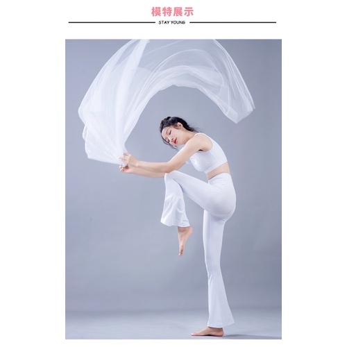 Set Tập Yoga Gym Loe Bèo S41