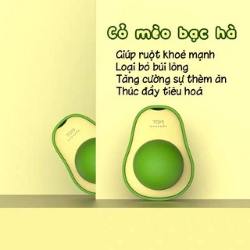 Catnip gắn tường, Bóng catnip gắn tường hình trái bơ giúp mèo giảm stress - Đồ chơi cỏ mèo catnip gắn tường