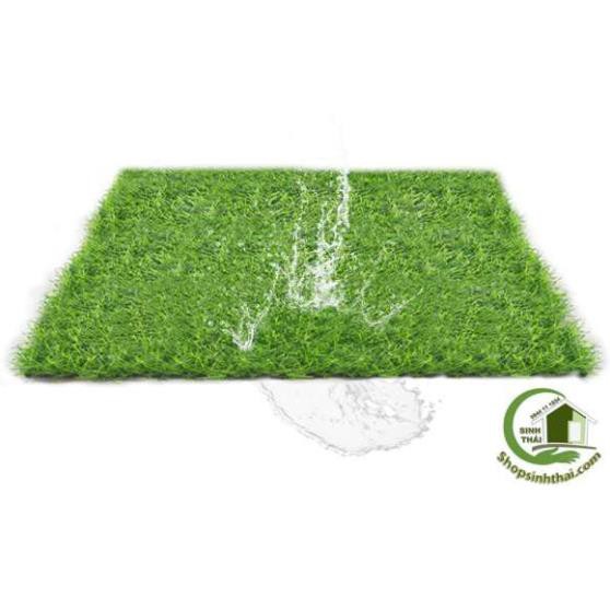 Tấm cỏ cao cấp trang trí trên bàn làm việc 25x25cm