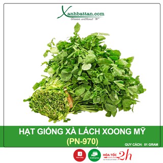 Hạt Giống Xà Lách Xoong Mỹ Phú Nông Gói 1 gram