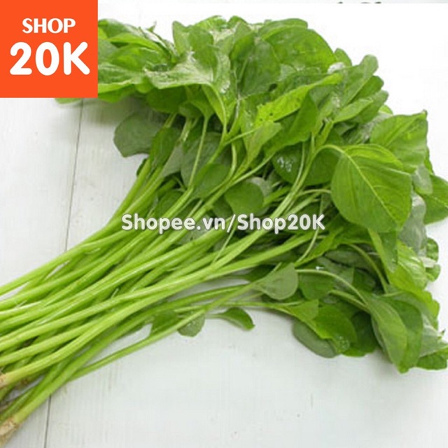 Giống Rau Dền xanh