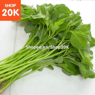 Giống Rau Dền xanh