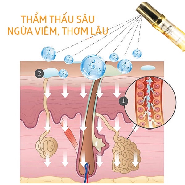 Xịt Phụ Khoa Aromatic Quyên Lara,Hương Thơm Quyến Rũ Khử Mùi Hôi,Làm Thơm,Hồng,Se Khít Cô Bé Dạng Xịt 20ml