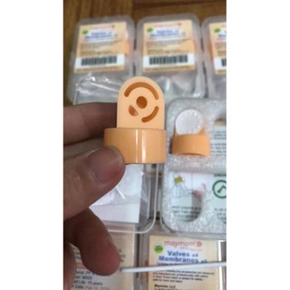 Van trắng, van vàng Maymom.