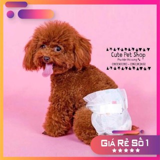 Bỉm cho cún mèo🐶🐱