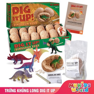 Đồ chơi khảo cổ Dig It Up trứng khủng long cho bé thích phiêu lưu thám hiểm