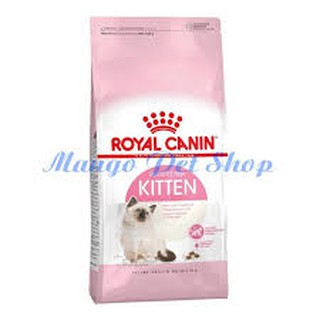 Thức ăn hữu cơ cho chó lớn