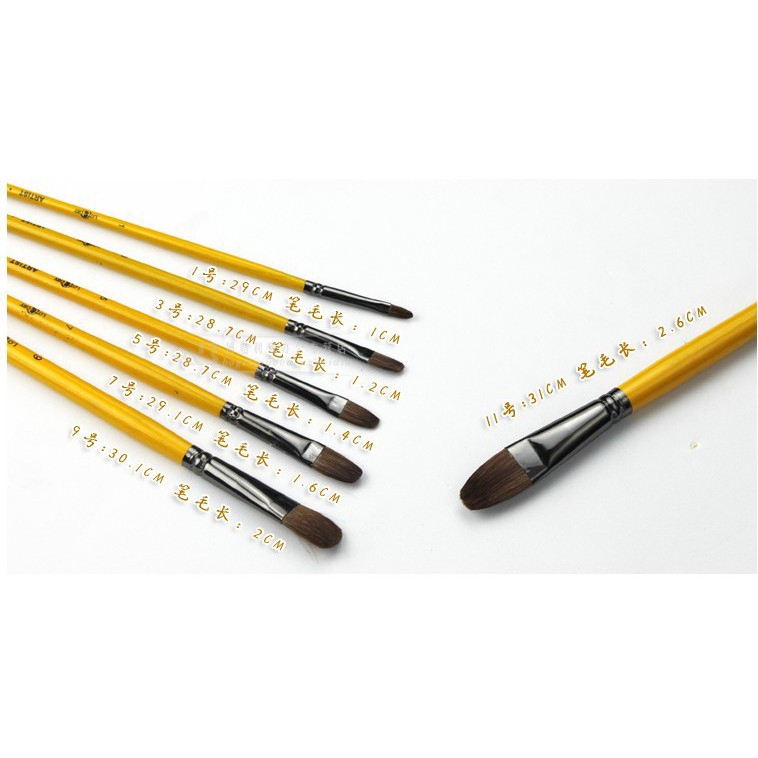 Bộ 6 cọ vẽ màu nước acrylic nghệ thuật sợi lông sói hình dạng khác nhau với tay cầm bằng gỗ tiện lợi