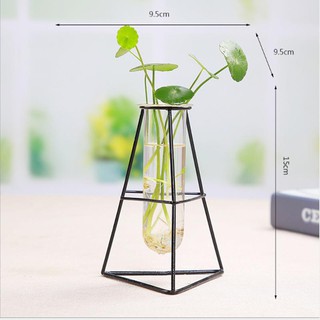 Bình Thủy Tinh Trồng Cây Để Bàn Sắt Mỹ Thuật Hình Trụ Trang Trí Văn Phòng Bàn Làm Việc