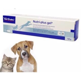 Gel dinh dưỡng Nutri plus cho chó mèo