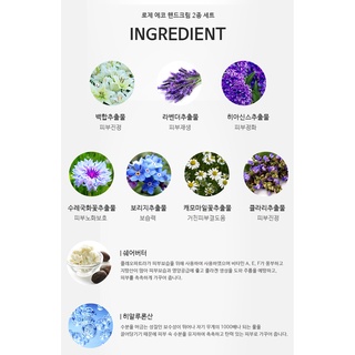 Rosee Eco Hand Cream Set