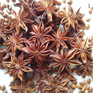 Hoa Hồi Lạng Sơn | Hàng Loại 1 | Gói 100gr