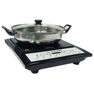 Bếp từ Goldsun GI-M11