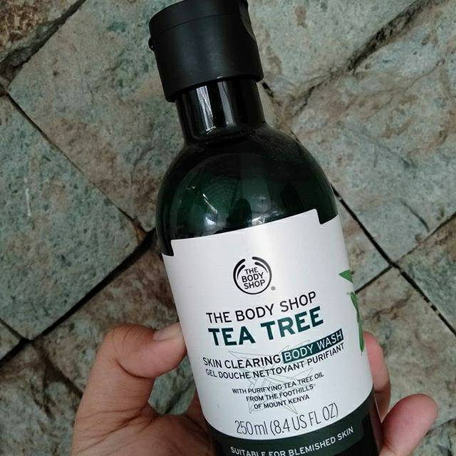 Tea Tree Skin Clearing Body Wash 250ml