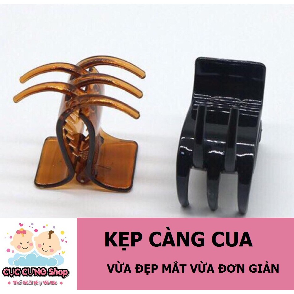 Kẹp càng cua