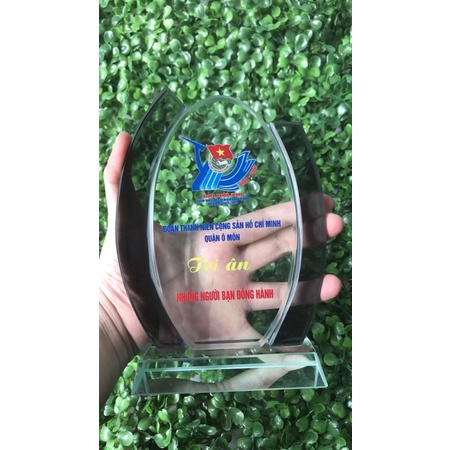 Kỷ niệm chương - Pha lê - Hình Ovan