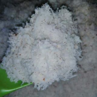 DẦU DỪA (500ml)