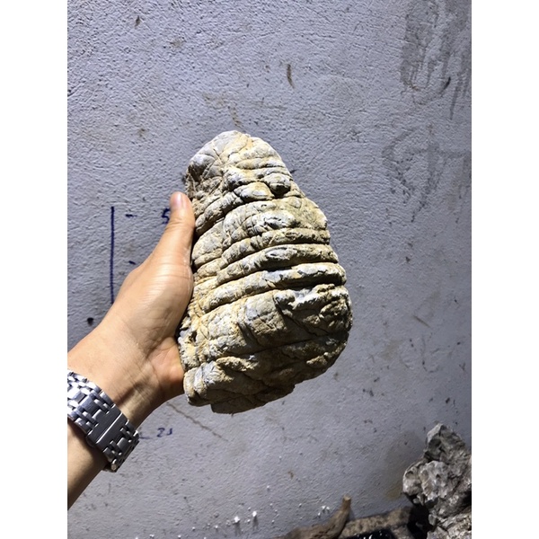 Đá da voi mini siêu vân 1kg