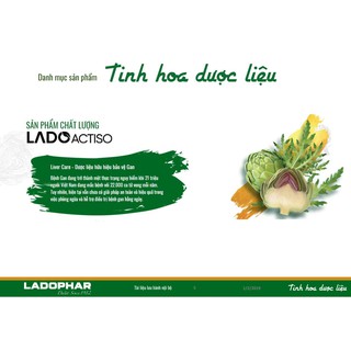 Trà Lado Atiso 50 túi lọc