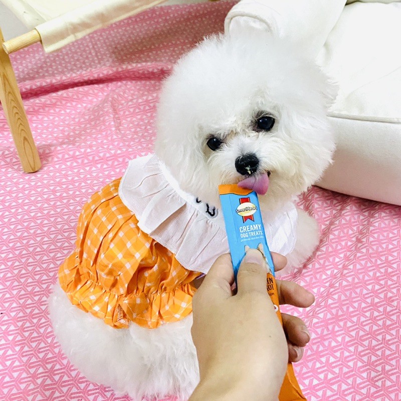 Áo đầm thun dễ thương dành cho thú cưng Đầm cổ bèo ngọt ngào chó mèo