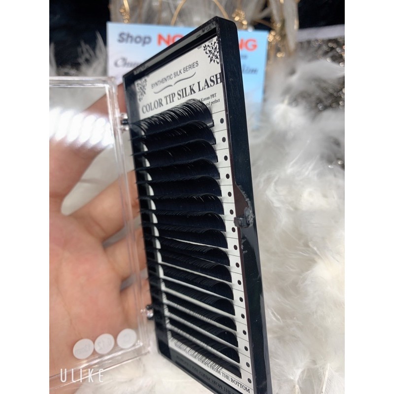 Mi color tip silk lash dày 0,12