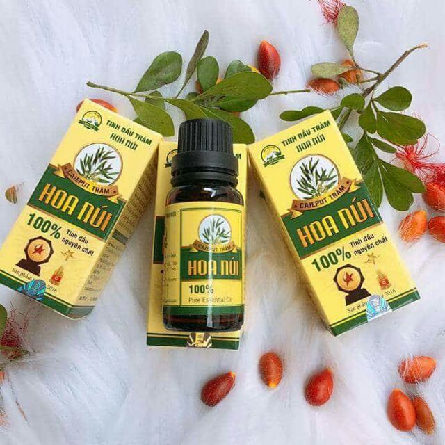 Tinh dầu tràm Hoa Núi