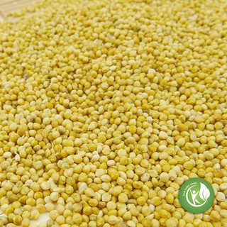 Hạt Kê Nếp Vàng 1KG - ND117