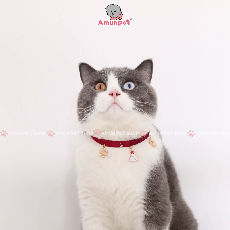 Vòng Cổ Giáng Sinh Cho Chó Mèo Mẫu Vòng Cổ Cho Thú Cưng Chất Liệu Nhung Hoạ Tiết Noel Amun Pet