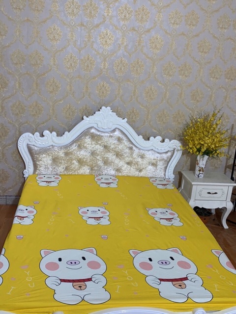 Chống thấm cotton 2 in 1
