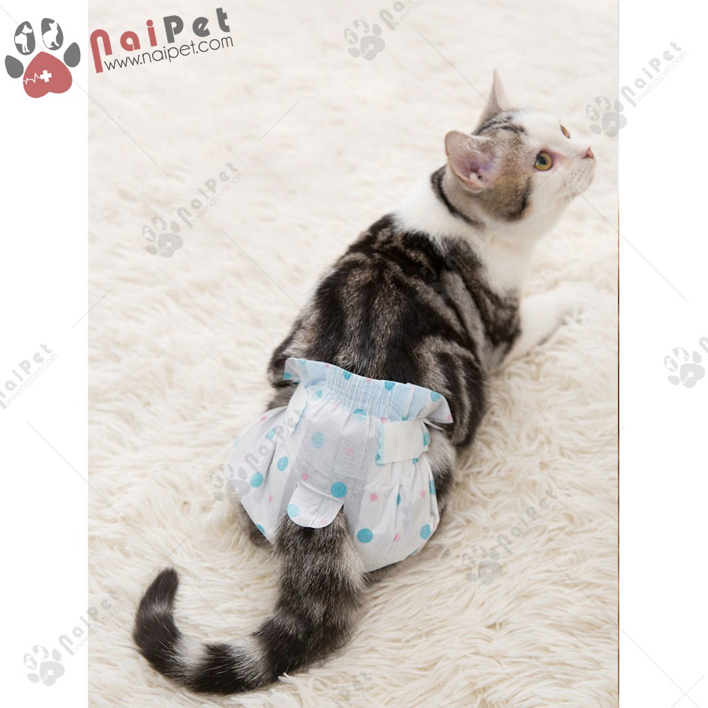 Tã Lót Bỉm Lót Cho Chó Mèo Hipidog