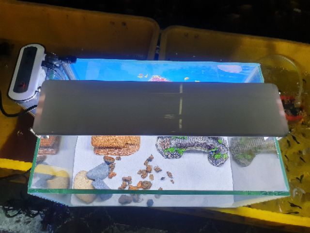 COMBO BỂ CÁ TRANG TRÍ SẴN NHÀ 29X18X18CM