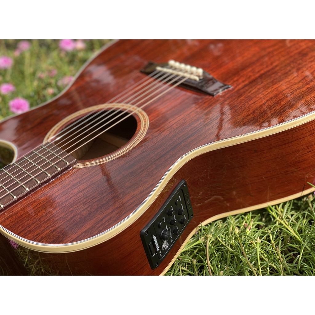 Đàn Guitar Acoustic Lắp EQ Fisman 301 Gồ Full Hồng Đào