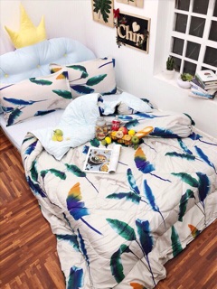Bộ mền drap phao
