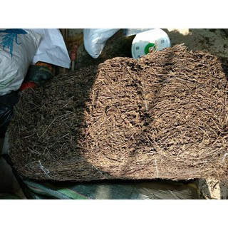 Cây sương sáo đen 1kg