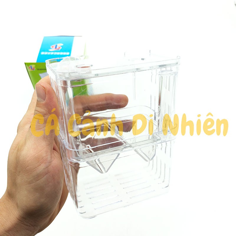 Lồng ép cá đẻ, lồng đẻ dưỡng Cá Bằng Nhựa Mica 13x7x10