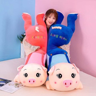 Gấu bông heo mặc áo siêu xinh