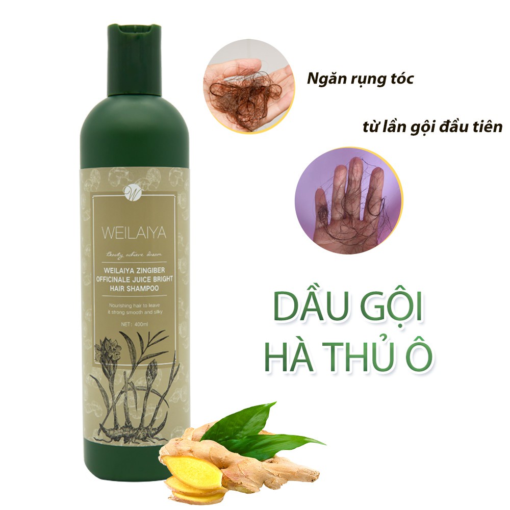 Bộ dầu gội Weilaiya tem nâu Mit Beauty tinh chất gừng kết hợp hà thủ ô giúp mọc tóc ngăn rụng tóc hiệu quả