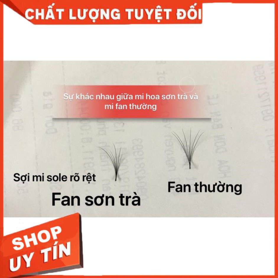 Mi Hoa Sơn Trà- Hoa Hồng Đen- Độ dầy 0.07 - Độ cong Cc( Mi sole 3 số trên 1 line mi - mỗi số cách nhau 2 size )