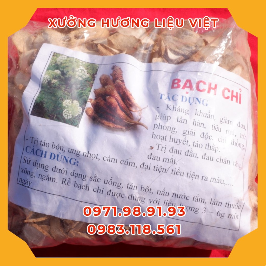 [Giá Buôn/Sỉ] Túi 1kg Bạch Chỉ Khô Nhà Làm Hòa Bình, Cây Bạch Chỉ, Bách chiểu, Chỉ hương, Cửu lý trú