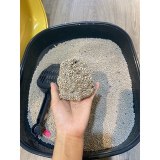 Cát nhật Min