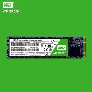 Wd Ổ Cứng Ssd M 2 Sata 120gb