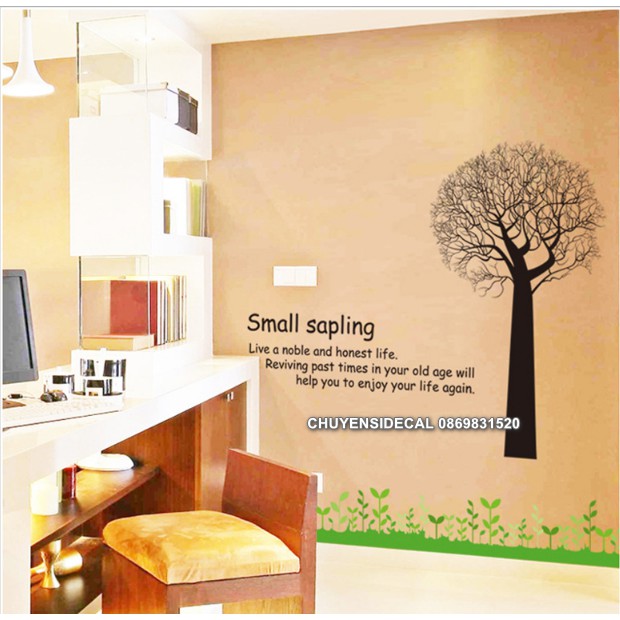 Decal trang trí tường - Thân Cây Rể Đen độc đáo