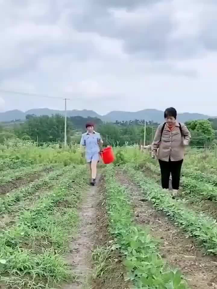 Máy rửa xe Cầm Tay 2 Pin 10 Cell 199V