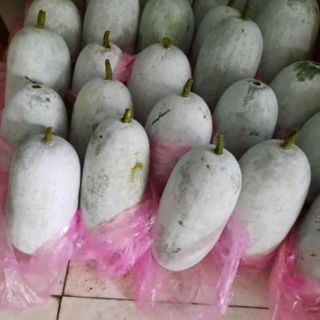 Bí thơm Bắc Kạn 2(Người Ba Bể)3kg