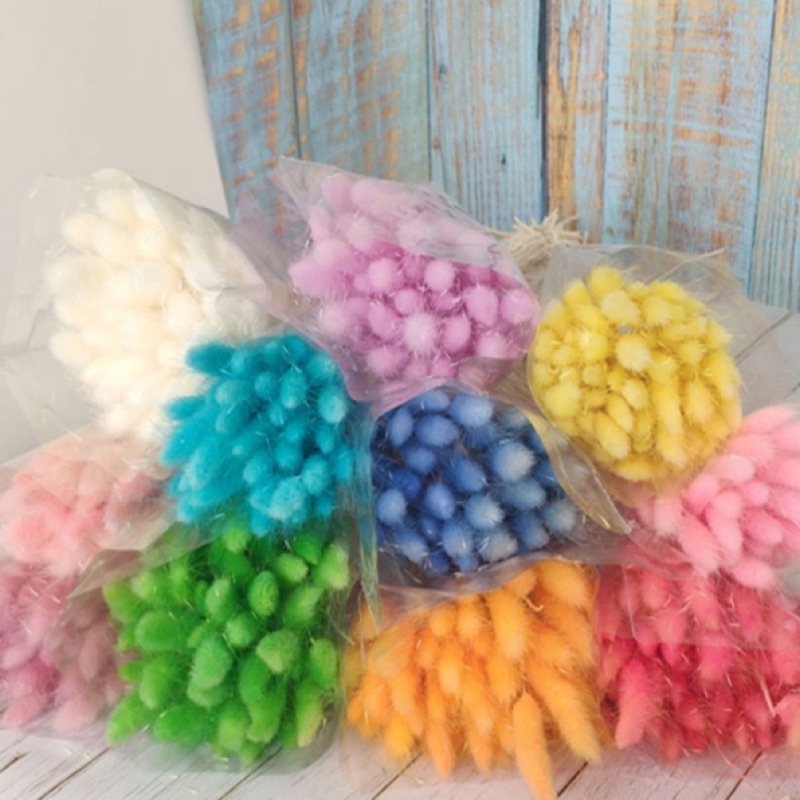 5 hoa đuôi thỏ decor giá mềm- có nhiều màu dùng decor trang trí