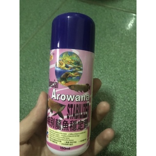 Gây mê Ocean Free số 6