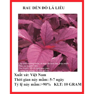 10 gram hạt giống rau dền đỏ lá liễu ( rau dền đỏ lá dài)